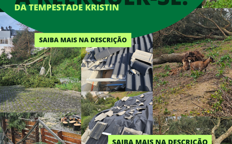 O projeto visa criar um espaço de educação ambiental, inclusão social, agricultura sustentável e aprendizagem intergeracional.